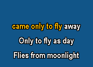 came only to fly away

Only to fly as day

Flies from moonlight