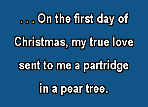 ...0n the first day of

Christmas, my true love

sent to me a partridge

in a pear tree.