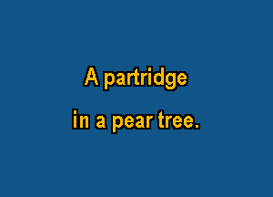 A partridge

in a pear tree.