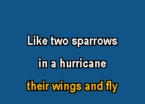 Like two sparrows

in a hurricane

their wings and fly