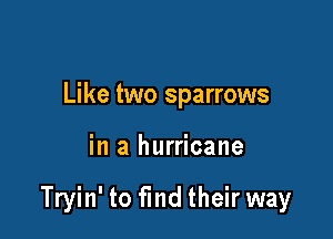 Like two sparrows

in a hurricane

Tryin' to fmd their way