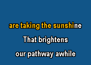 are taking the sunshine

That brightens

our pathway awhile