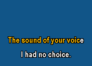 The sound of your voice

I had no choice.