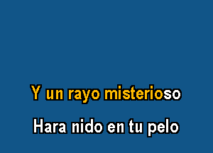 Y un rayo misterioso

Hara nido en tu pelo