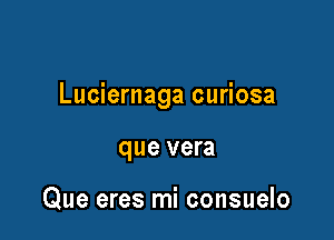 Luciernaga curiosa

que vera

Que eres mi consuelo