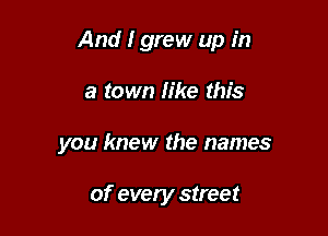 And I grew up in

a town like this
you knew the names

of every street