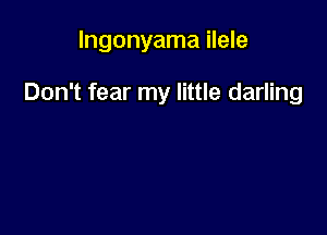lngonyama ilele

Don't fear my little darling