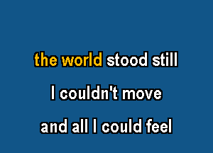 the world stood still

I couldn't move

and all I could feel