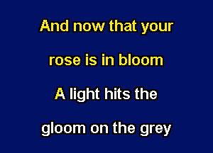 And now that your
rose is in bloom

A light hits the

gloom on the grey