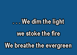 ...We dim the light

we stoke the fire

We breathe the evergreen