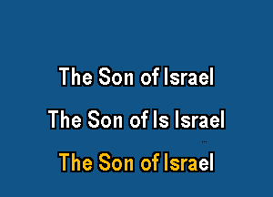 The Son of Israel

The Son ofls Israel

The Son oflsrael