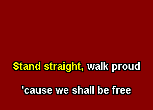 Stand straight, walk proud

'cause we shall be free