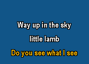 Way up in the sky

little lamb

Do you see what I see