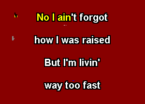 No I ain't forgot

how I was raised
But I'm livin'

way too fast