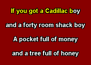 If you got a Cadillac boy
and a forty room shack boy

A pocket full of money

and a tree full of honey