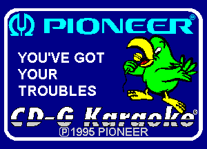 YOU'VE (g9?
YOUR

TROUBLES

v.19951Pl0NEERv