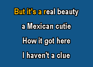 But it's a real beauty

a Mexican cutie
How it got here

I haven't a clue