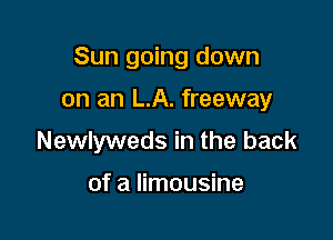 Sun going down

on an LA. freeway
Newlyweds in the back

of a limousine