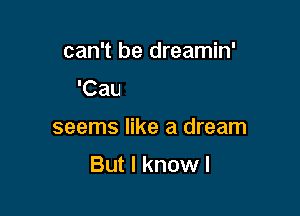 can't be dreamin'
Even now it still

seems like a dream

But I know I