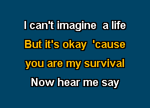 lcan'timagine alife
But it's okay 'cause

you are my survival

Now hear me say