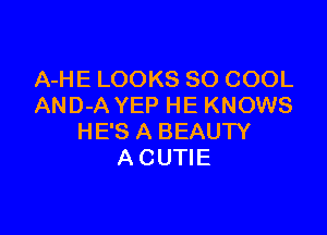 A-HE LOOKS SO COOL
AND-A YEP HE KNOWS

HE'S A BEAUTY
A CUTIE