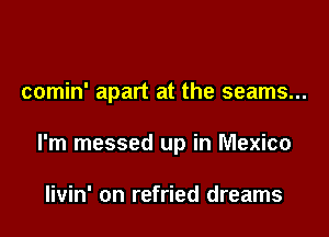 comin' apart at the seams...

I'm messed up in Mexico

livin' on refried dreams