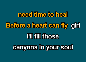 need time to heal

Before a heart can fly girl

I'll fill those

canyons in your soul