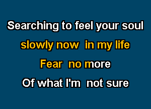 Searching to feel your soul

slowly now in my life
Fear no more

Of what I'm not sure