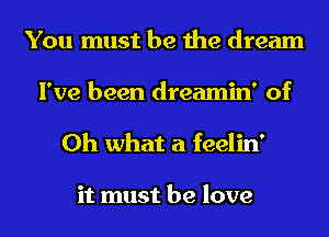 You must be the dream
I've been dreamin' of
Oh what a feelin'

it must be love