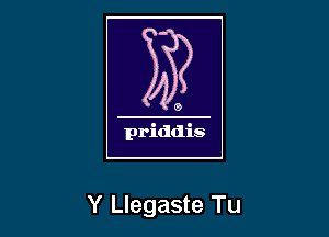 Y Llegaste Tu