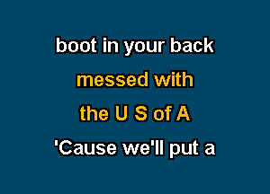 boot in your back
messed with
the U S of A

'Cause we'll put a