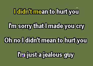 I didn't mean to hurt ym-J

I'm sorry that I made you cry
Oh no I didn't mean to hurt you

I'm just a jealous guy