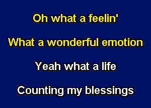 Oh what a feelin'
What a wonderful emotion

Yeah what a life

Counting my blessings