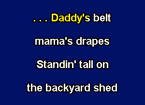 . . . Daddy's belt
mama's drapes

Standin' tall on

the backyard shed