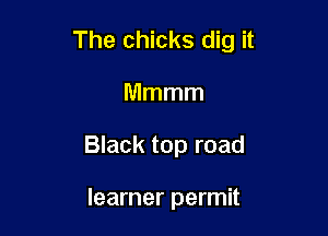 The chicks dig it

Mmmm
Black top road

learner permit