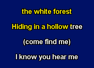 the white forest

Hiding in a hollow tree

(come find me)

I know you hear me