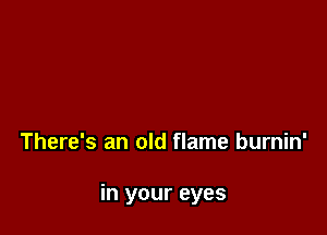 There's an old flame burnin'

in your eyes