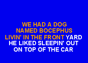 WE HAD A DOG
NAMED BOCEPHUS

LIVIN' IN THE FRONTYARD
HE LIKED SLEEPIN' OUT

ON TOP OF THE CAR