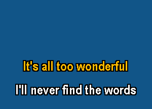 It's all too wonderful

I'll never find the words