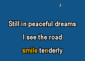 Still in peaceful dreams

I see the road

smile tenderly