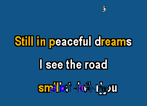 Still in peaceful dreams

I see the road

sm'l' a' 't l' .vu

o.