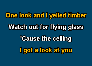 One look and I yelled timber
Watch out for flying glass

'Cause the ceiling

I got a look at you