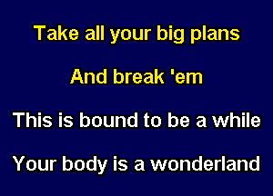 Take all your big plans
And break 'em
This is bound to be a while

Your body is a wonderland