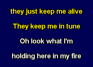 they just keep me alive
They keep me in tune

Oh look what I'm

holding here in my fire