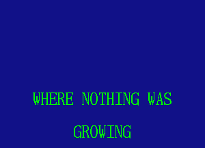 WHERE NOTHING WAS
GROWING
