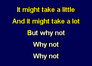 It might take a little
And it might take a lot

But why not
Why not
Why not