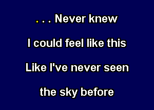 . . . Never knew
I could feel like this

Like I've never seen

the sky before