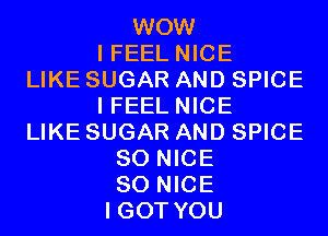 WOW
I FEEL NICE
LIKE SUGAR AND SPICE
I FEEL NICE
LIKE SUGAR AND SPICE
SO NICE
SO NICE
I GOT YOU