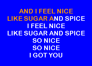 AND I FEEL NICE
LIKE SUGAR AND SPICE
I FEEL NICE
LIKE SUGAR AND SPICE
SO NICE
SO NICE
I GOT YOU