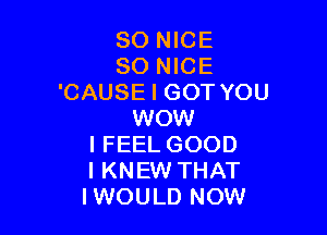 SO NICE
SO NICE
'CAUSE I GOT YOU

WOW
I FEEL GOOD
IKNEW THAT
IWOULD NOW